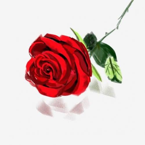 สมาชิกหมายเลข 6789664