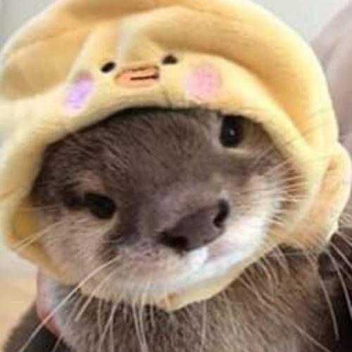 สมาชิกหมายเลข 3511932