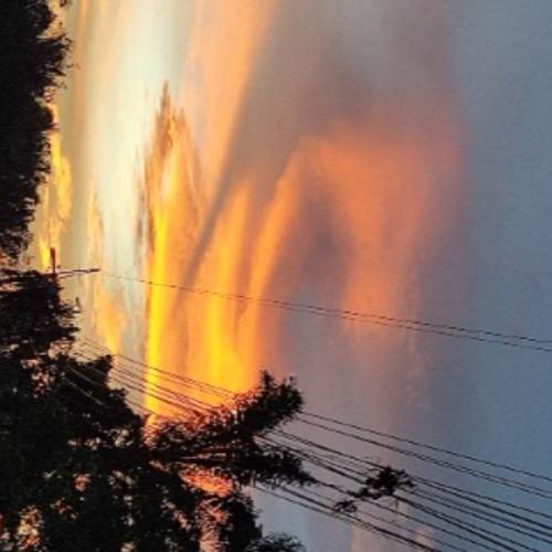 สมาชิกหมายเลข 6352473