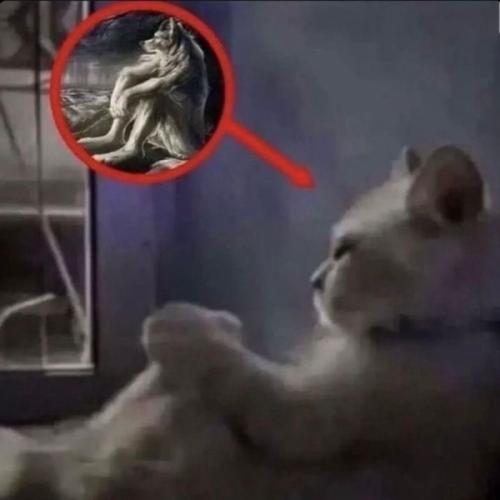 สมาชิกหมายเลข 8479966