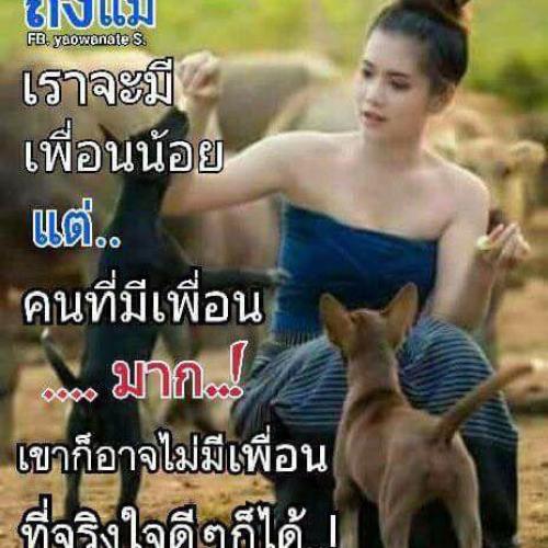 สมาชิกหมายเลข 4005665