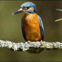 สมาชิกหมายเลข 4466885