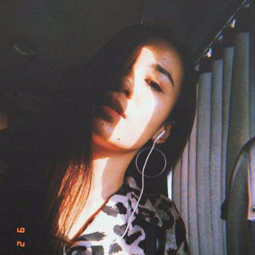 สมาชิกหมายเลข 5188189