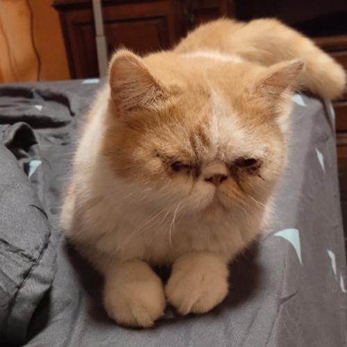 สมาชิกหมายเลข 5596413