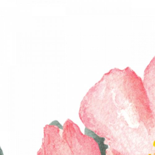 สมาชิกหมายเลข 5596761