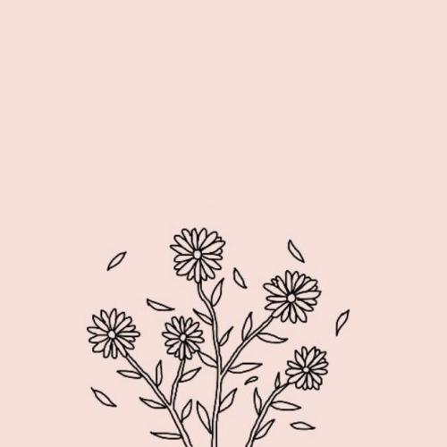 สมาชิกหมายเลข 5596872