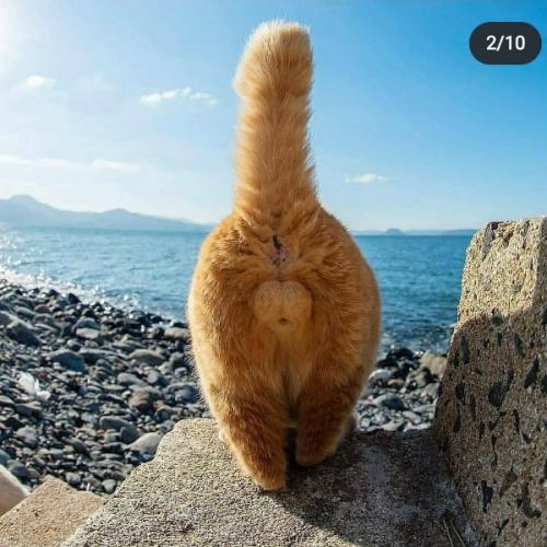 สมาชิกหมายเลข 2134318