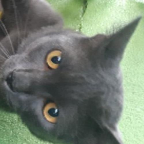 สมาชิกหมายเลข 6160237