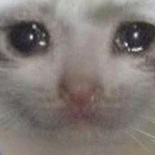 แมวย่องเบา