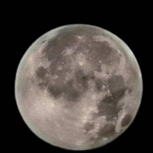 สมาชิกหมายเลข 6791291