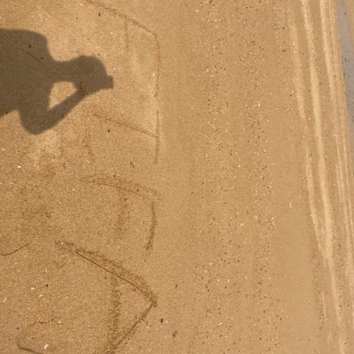 สมาชิกหมายเลข 5485105