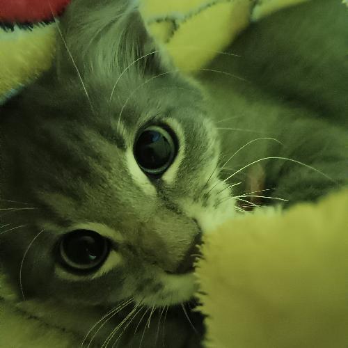 สมาชิกหมายเลข 8480553