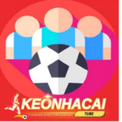 สมาชิกหมายเลข 8481286