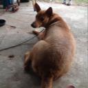 สมาชิกหมายเลข 2648878