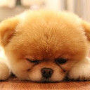 สมาชิกหมายเลข 4142523