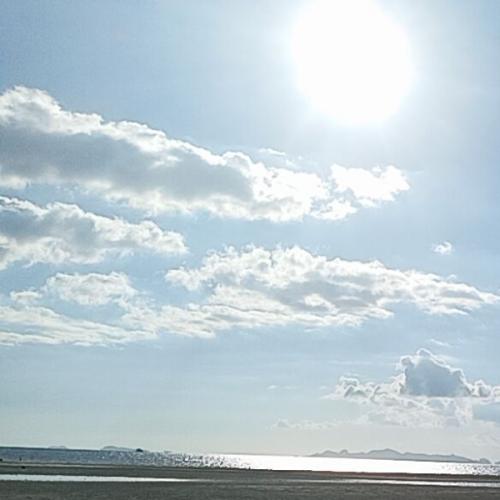 สมาชิกหมายเลข 2949479