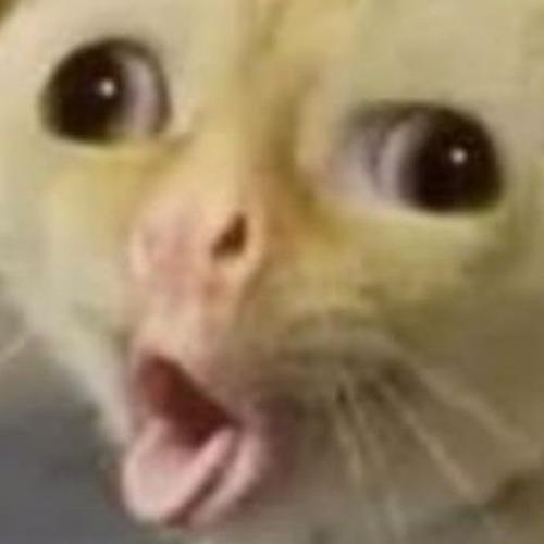 สมาชิกหมายเลข 6457333