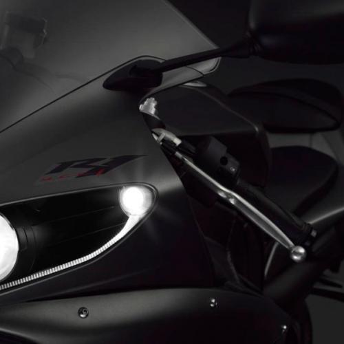 โดดรั้วที่เกาะร้าง