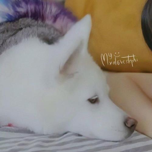 สมาชิกหมายเลข 6791721