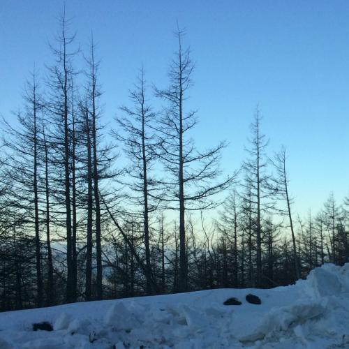 ยิ้มให้กับตัวเองทุกเช้า