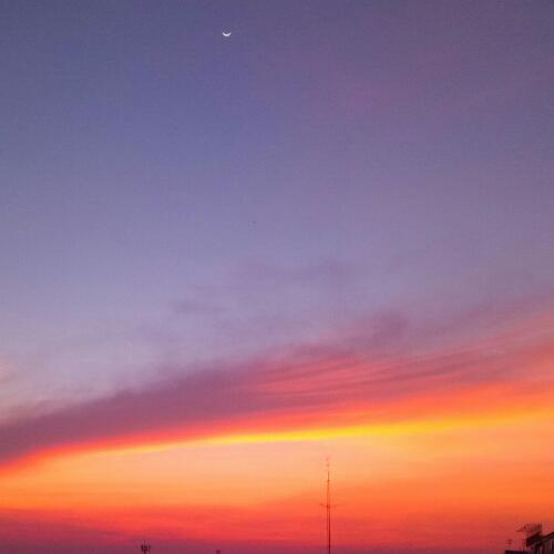 สมาชิกหมายเลข 4774769