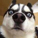 สมาชิกหมายเลข 4806935