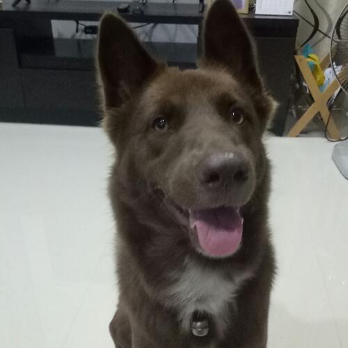 สมาชิกหมายเลข 4806982