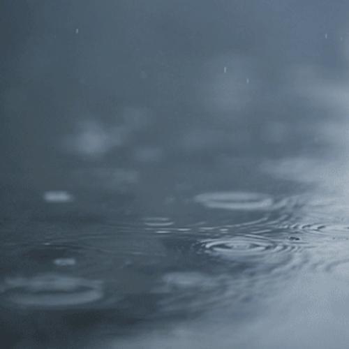 สมาชิกหมายเลข 4807103