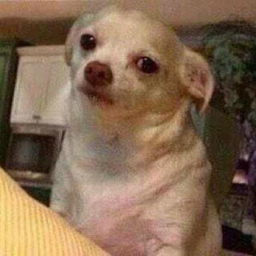 สมาชิกหมายเลข 5597602