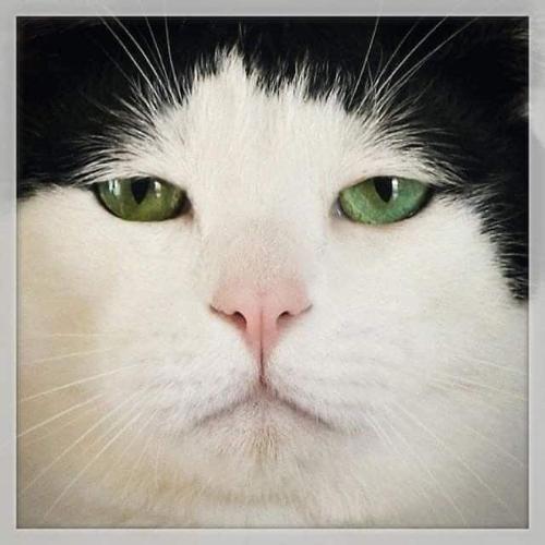 สมาชิกหมายเลข 5968539