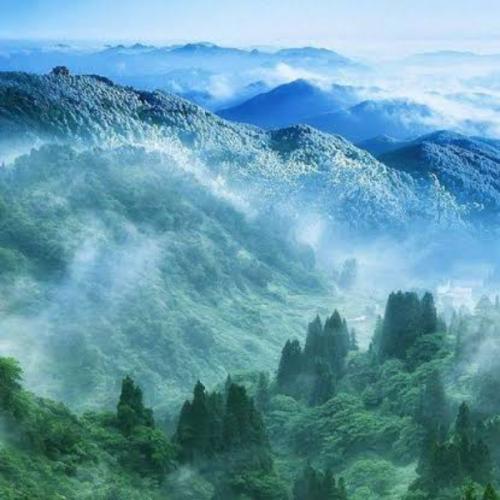 สมาชิกหมายเลข 6162566