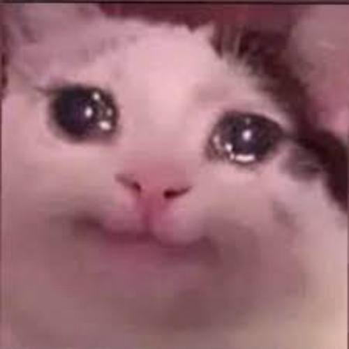 สมาชิกหมายเลข 4463439