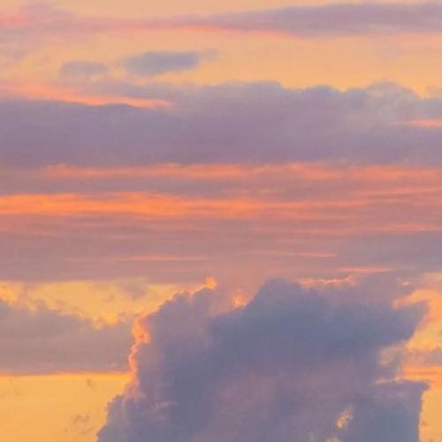 สมาชิกหมายเลข 4634242