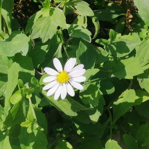 สมาชิกหมายเลข 6792386