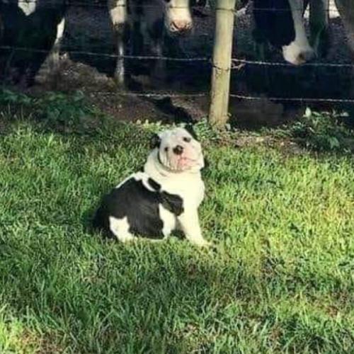 สมาชิกหมายเลข 6051205