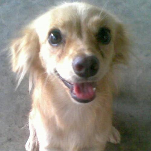 สมาชิกหมายเลข 8483113