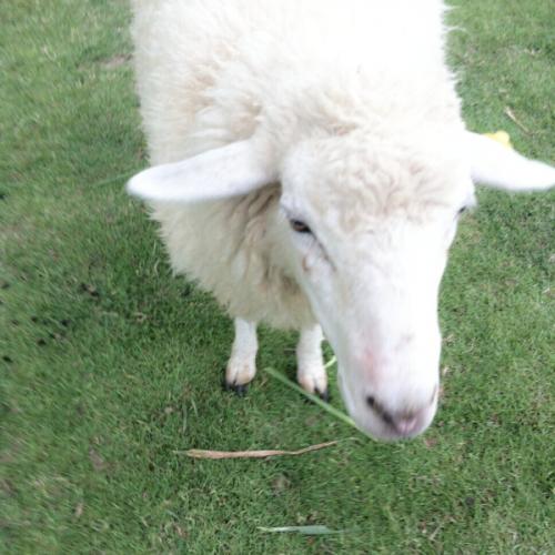 สมาชิกหมายเลข 3806521