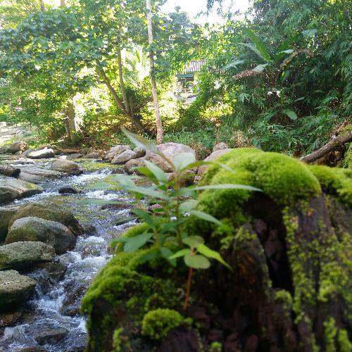 สมาชิกหมายเลข 4141666