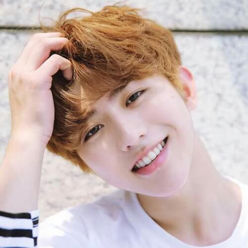 สมาชิกหมายเลข 4807400