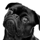 สมาชิกหมายเลข 5189343