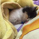 สมาชิกหมายเลข 5189470