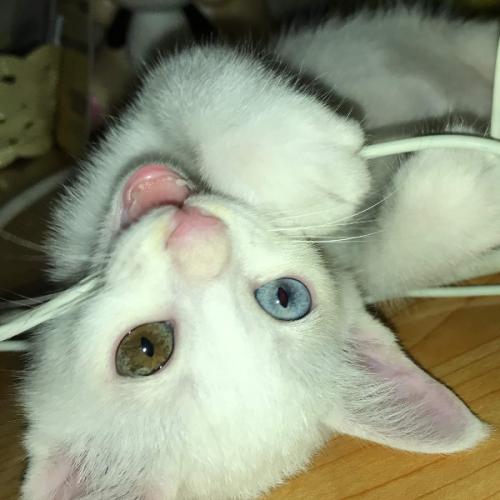 สมาชิกหมายเลข 3466792