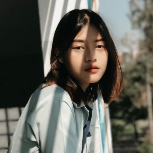 สมาชิกหมายเลข 4240034