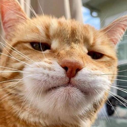 สมาชิกหมายเลข 5597931