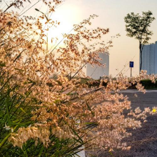 น้ำเปล่าไม่เย็น