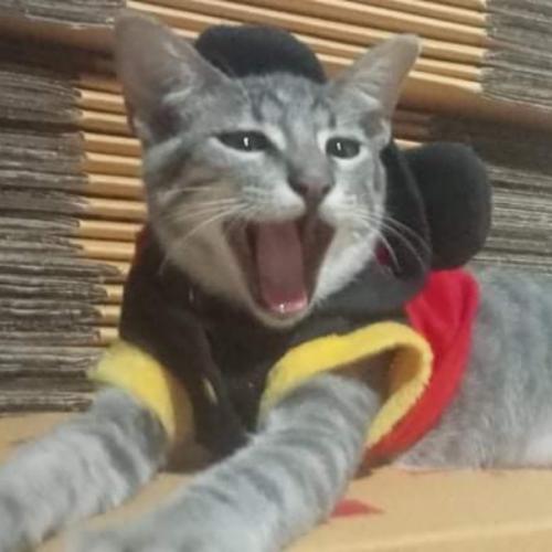 มีนครับ