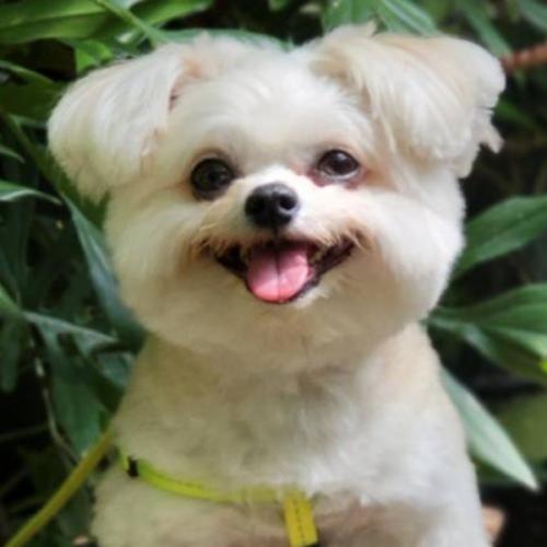 บ้างานจนขึ้นคาน