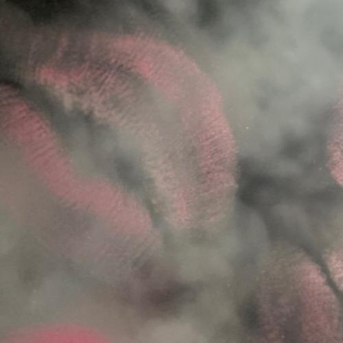 สมาชิกหมายเลข 8471872