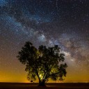 สมาชิกหมายเลข 874374