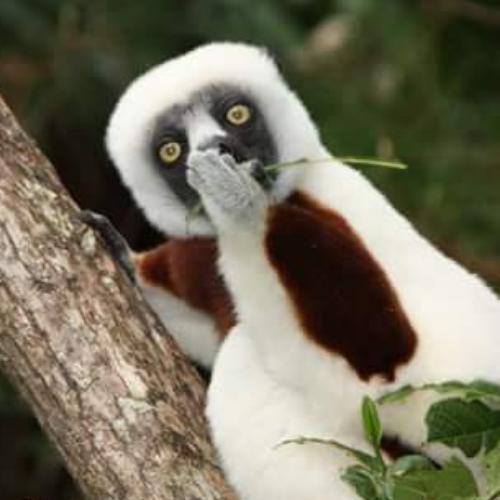 สมาชิกหมายเลข 2689821